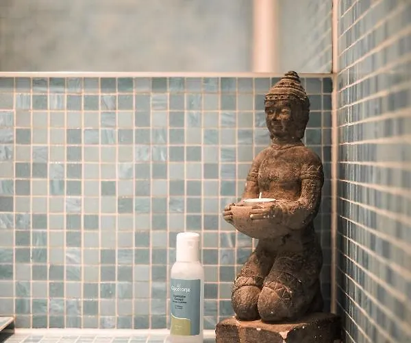 维他命z住宿加早餐旅馆 * 艾默伊登