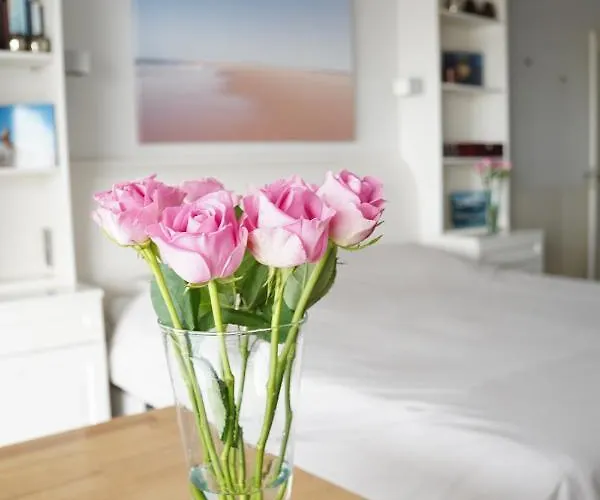 Vitamine Zee IJmuiden