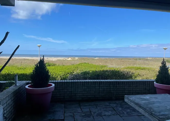 公寓 维他命z住宿加早餐旅馆 艾默伊登