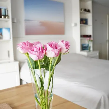 Vitamine Zee IJmuiden