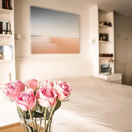 Vitamine Zee * IJmuiden